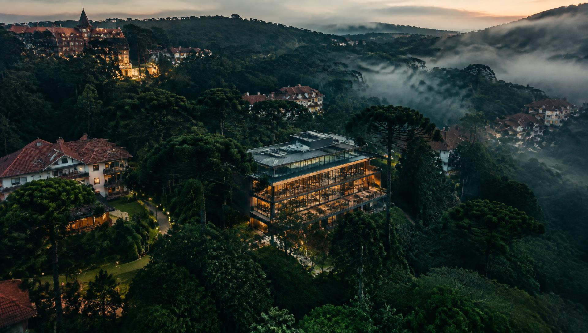 Vista aérea de um lugar entre araucárias na Serra